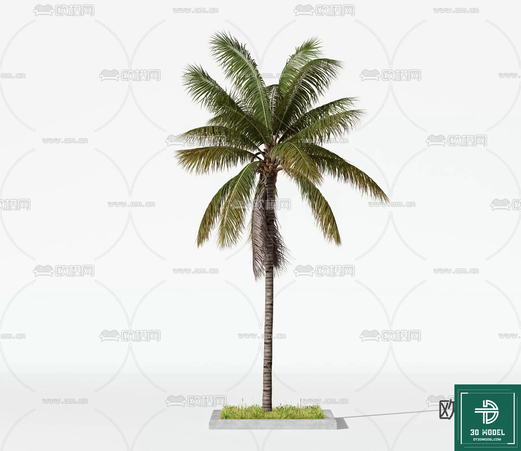 EXTERIOR – TREE – 3D MODELS – 081