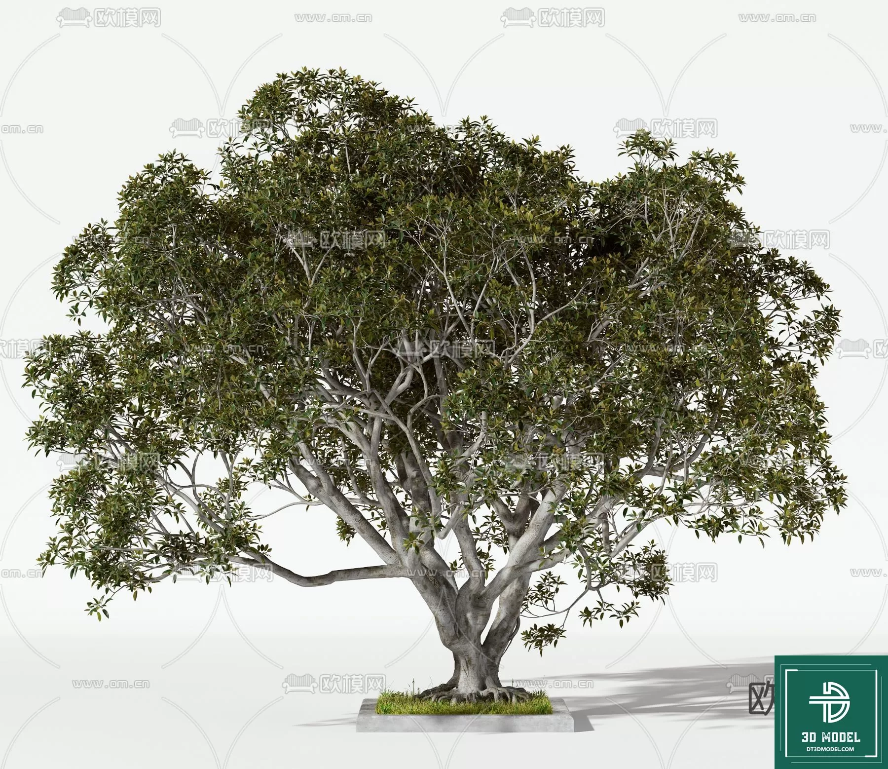 EXTERIOR – TREE – 3D MODELS – 083