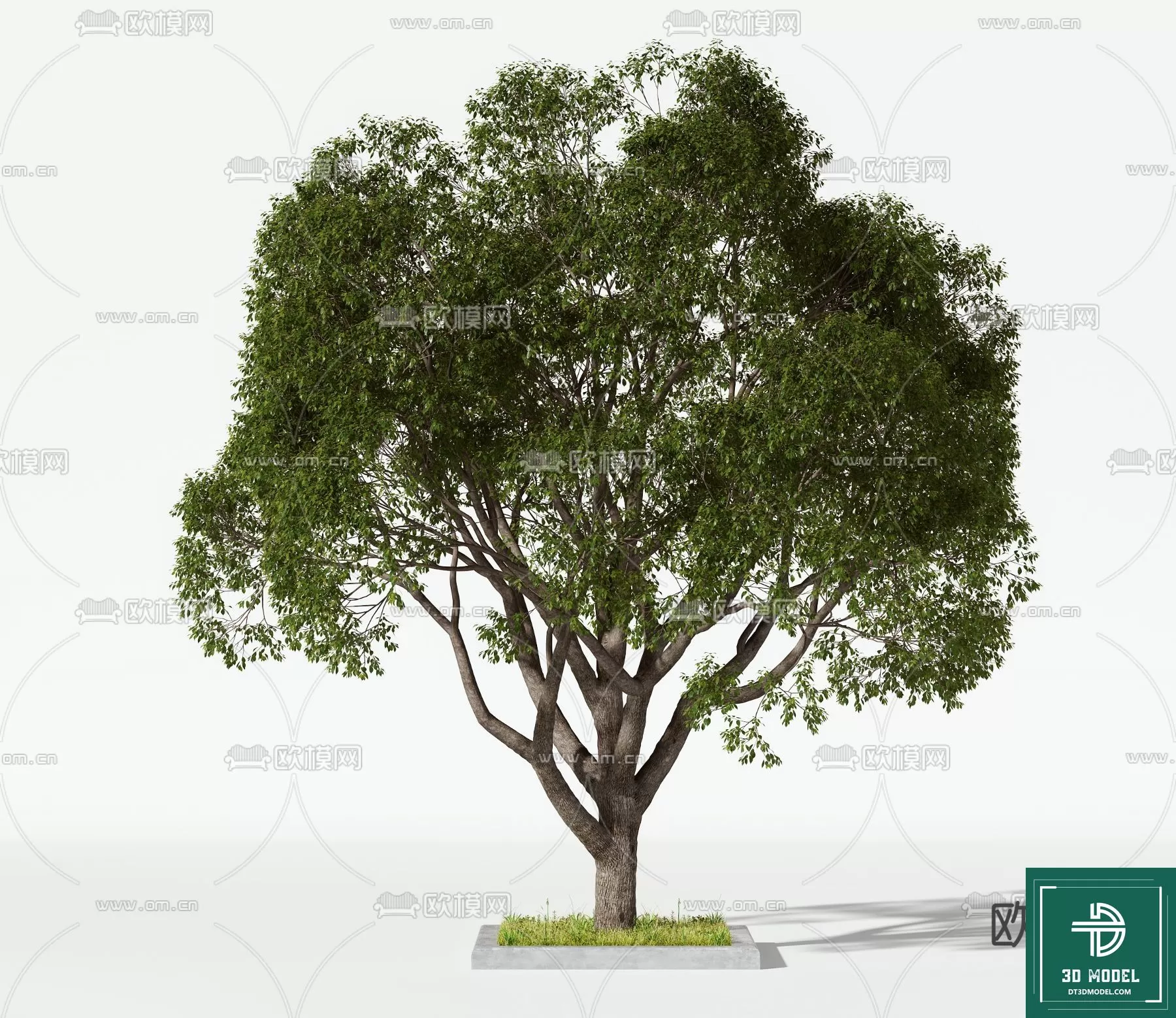 EXTERIOR – TREE – 3D MODELS – 084