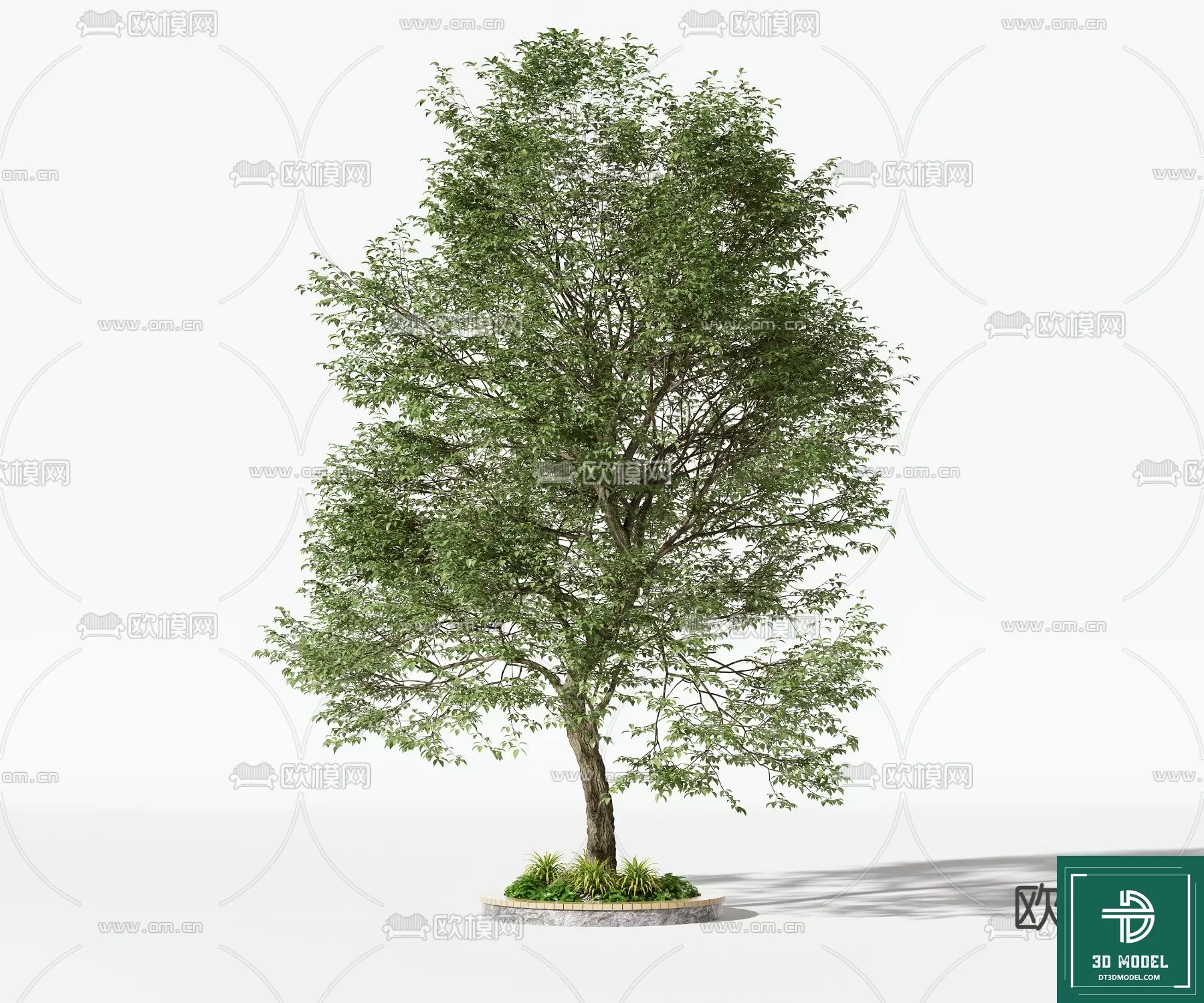 EXTERIOR – TREE – 3D MODELS – 087