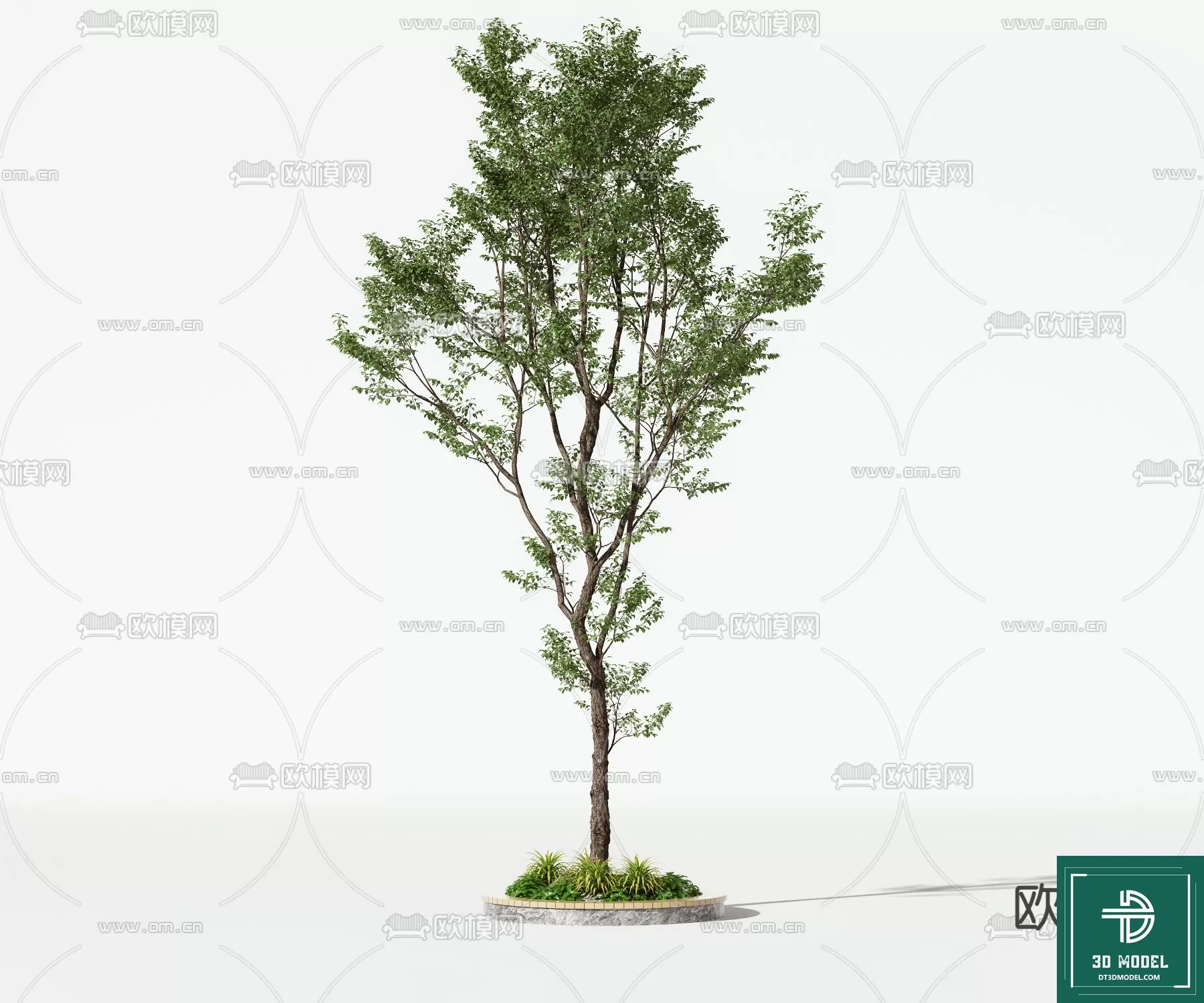 EXTERIOR – TREE – 3D MODELS – 089