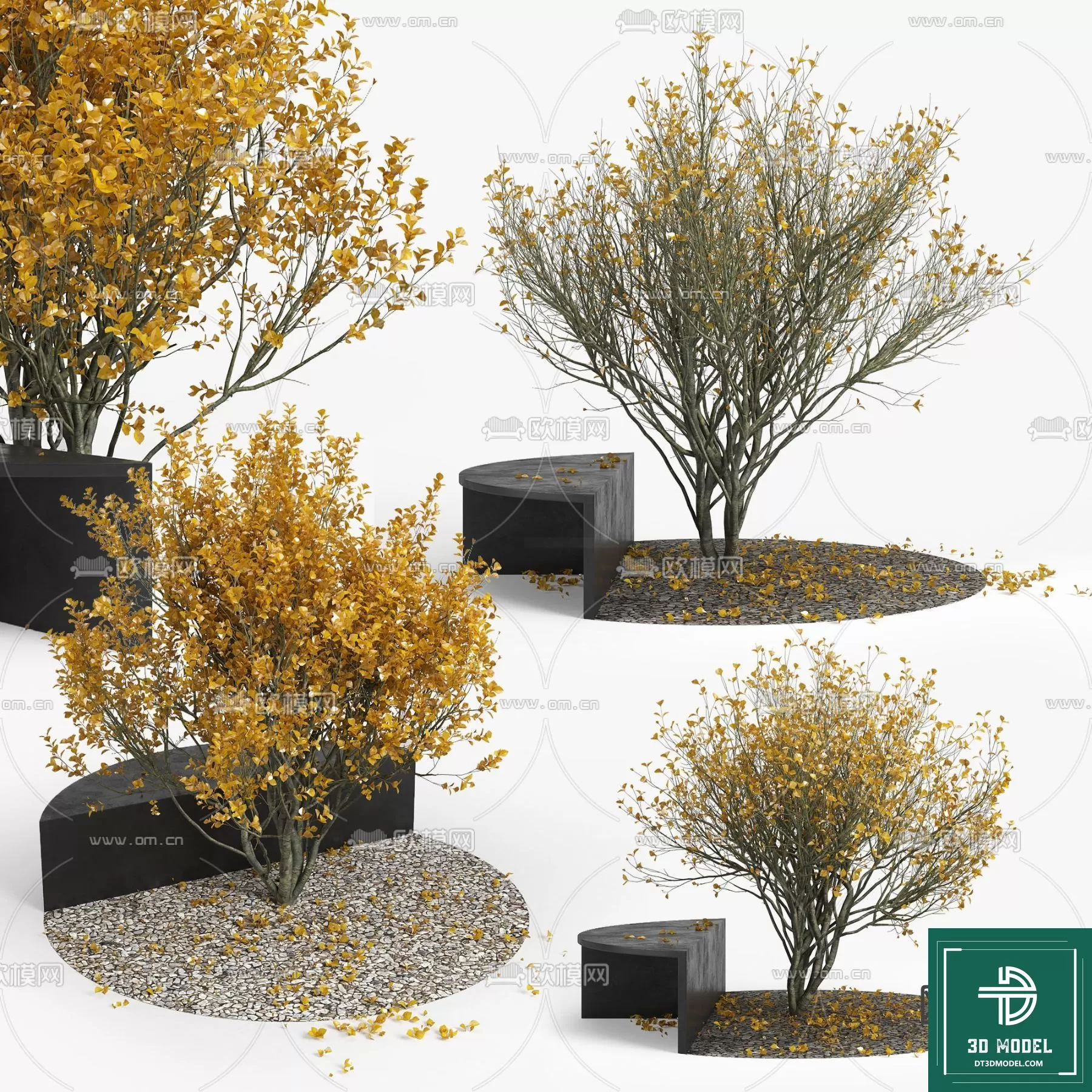 EXTERIOR – TREE – 3D MODELS – 090