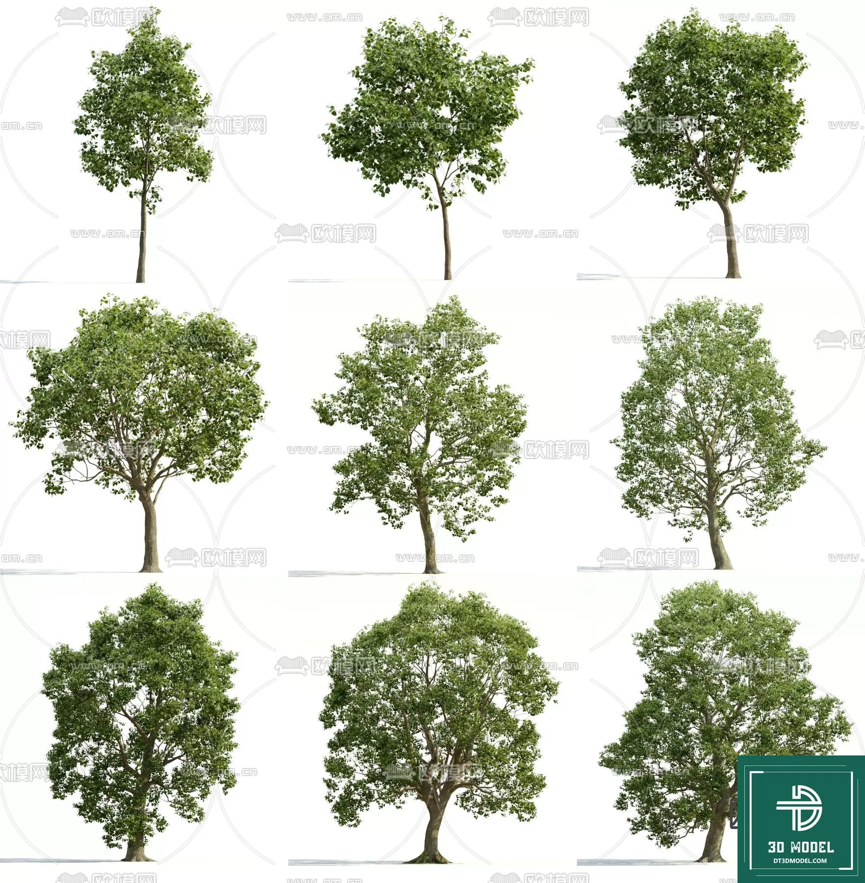 EXTERIOR – TREE – 3D MODELS – 092