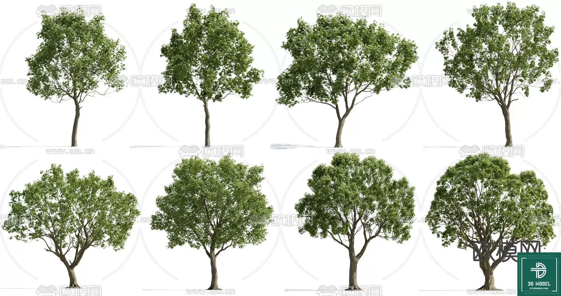 EXTERIOR – TREE – 3D MODELS – 093