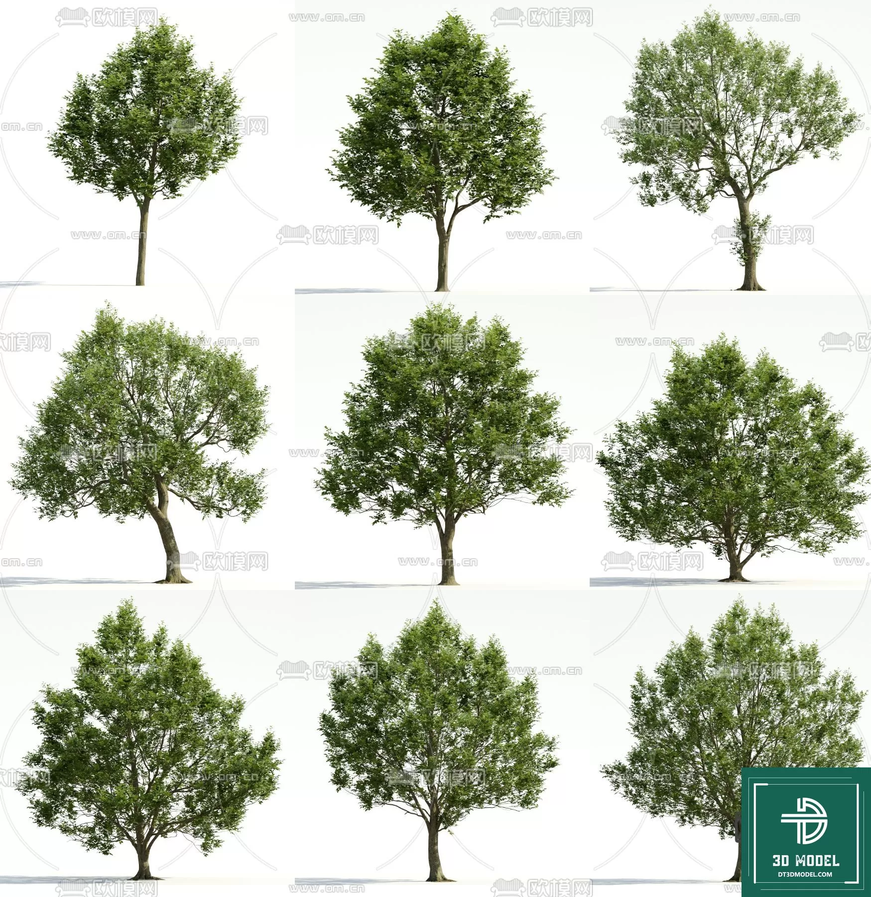 EXTERIOR – TREE – 3D MODELS – 095