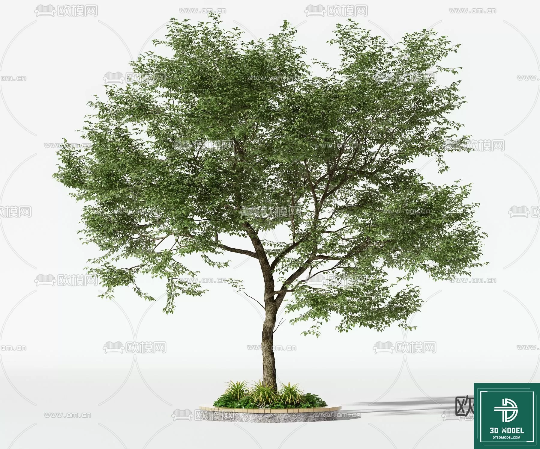 EXTERIOR – TREE – 3D MODELS – 098