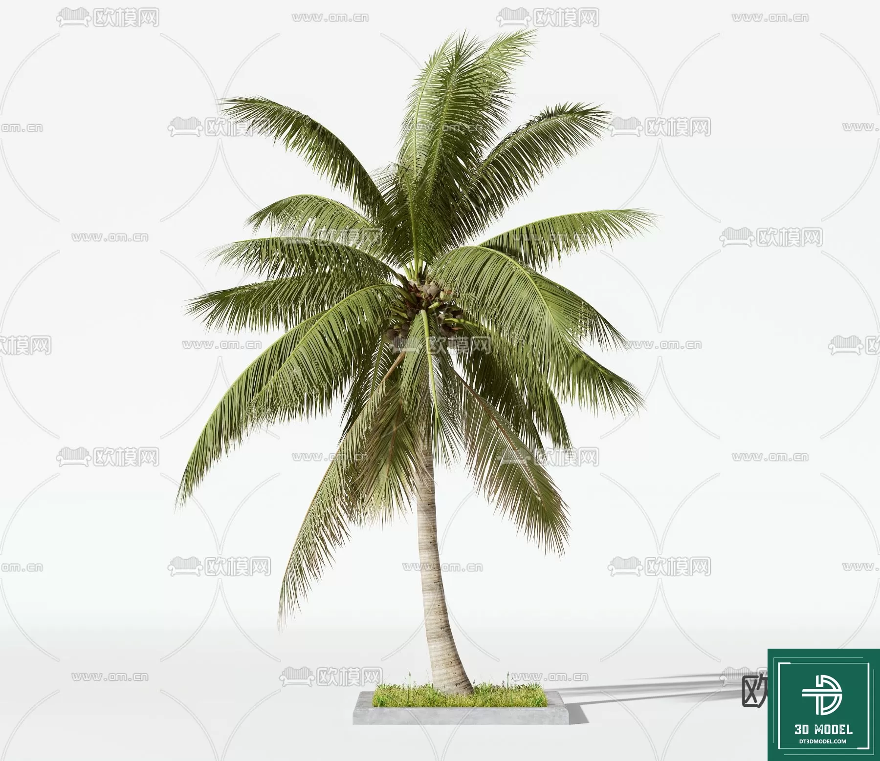 EXTERIOR – TREE – 3D MODELS – 100