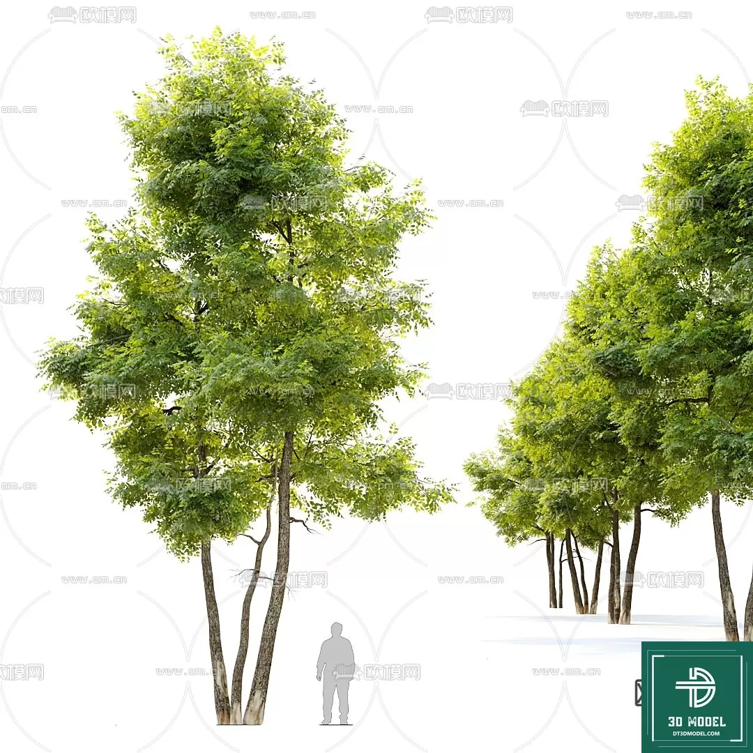 EXTERIOR – TREE – 3D MODELS – 102