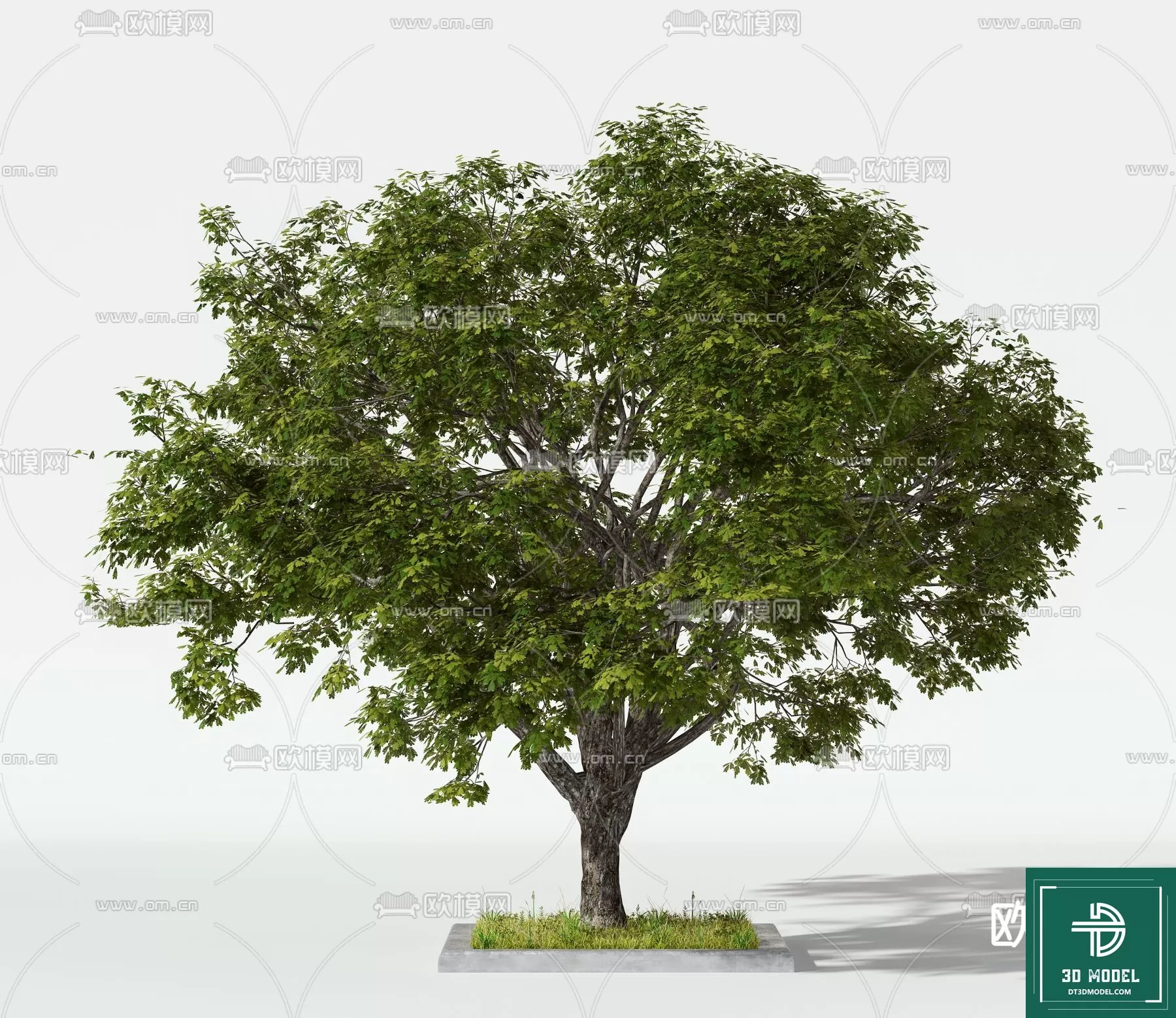 EXTERIOR – TREE – 3D MODELS – 103