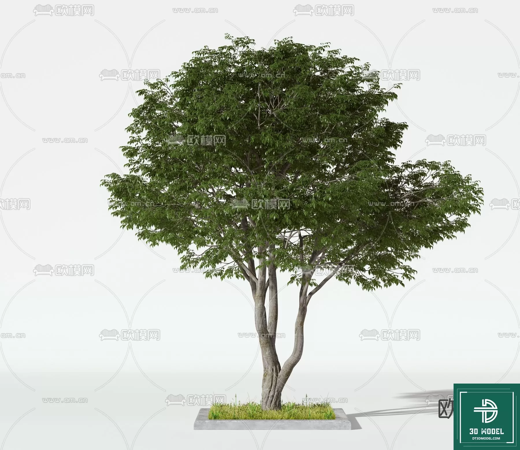 EXTERIOR – TREE – 3D MODELS – 104