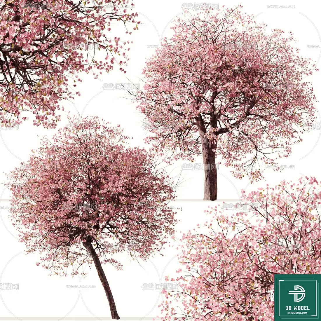 EXTERIOR – TREE – 3D MODELS – 107