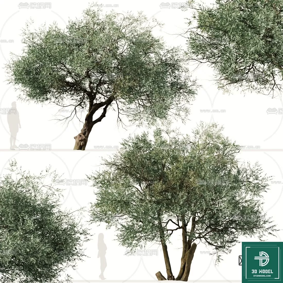EXTERIOR – TREE – 3D MODELS – 110