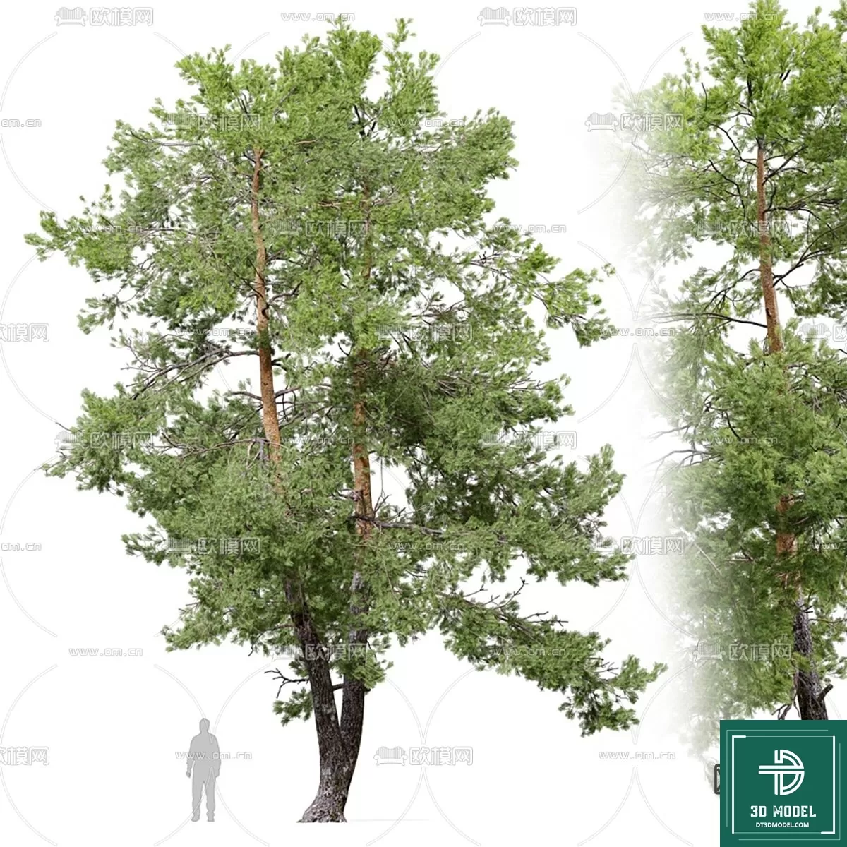 EXTERIOR – TREE – 3D MODELS – 111