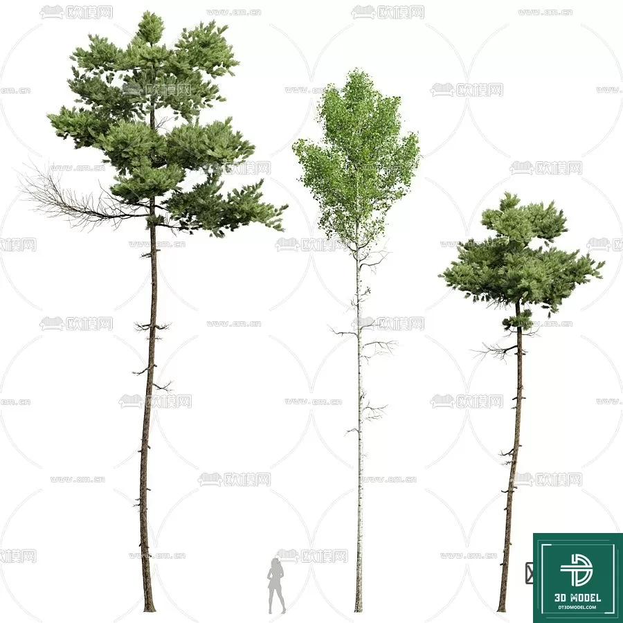 EXTERIOR – TREE – 3D MODELS – 114