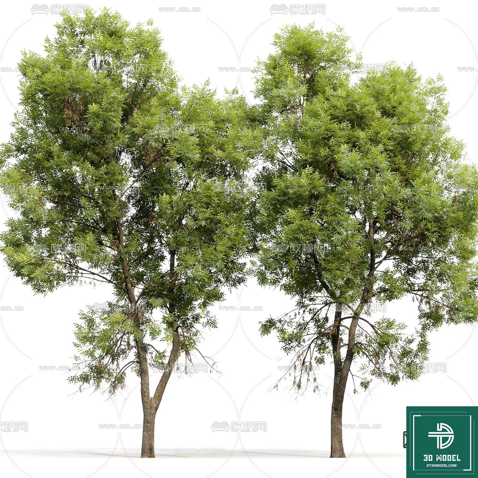 EXTERIOR – TREE – 3D MODELS – 118