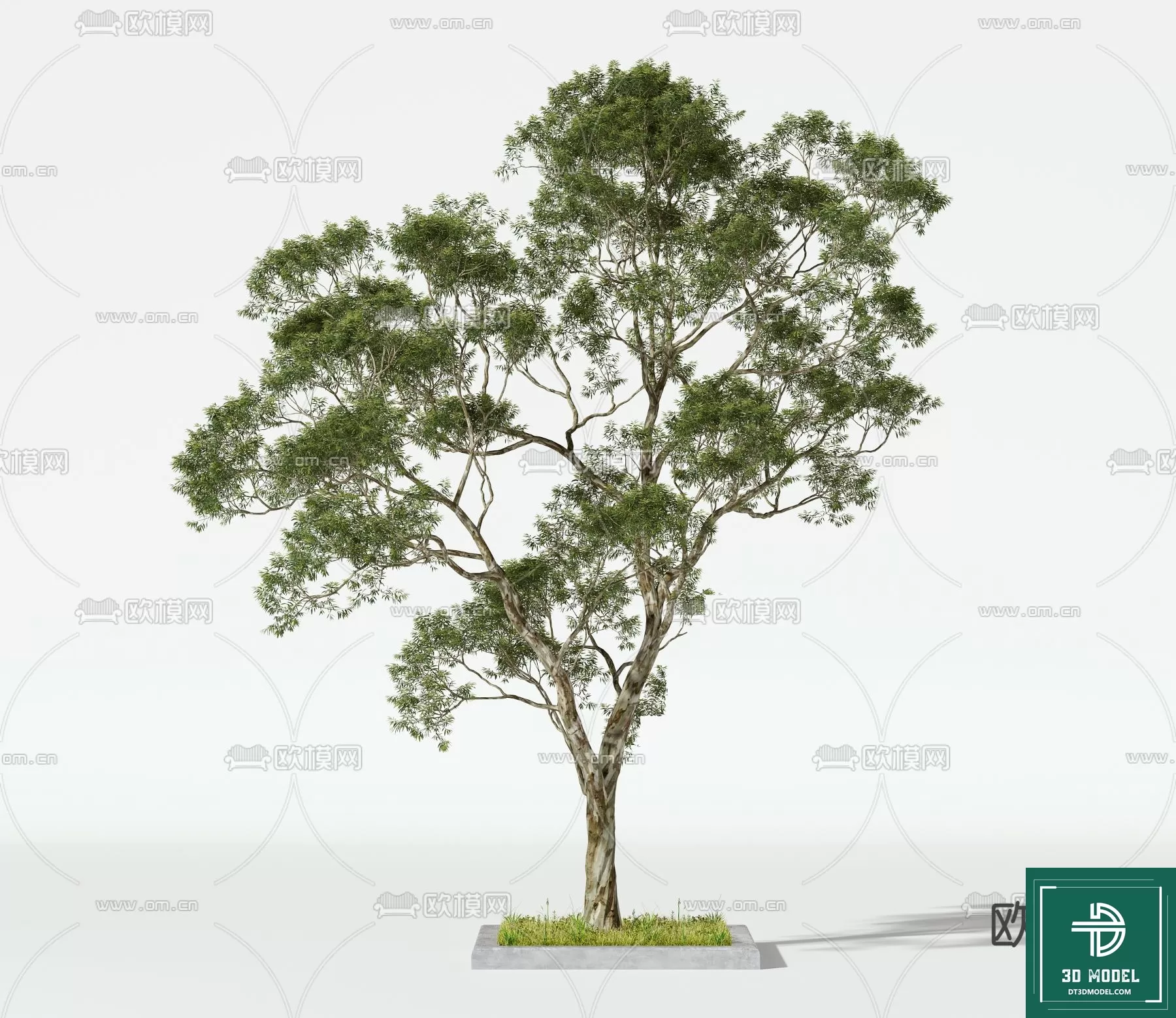 EXTERIOR – TREE – 3D MODELS – 124