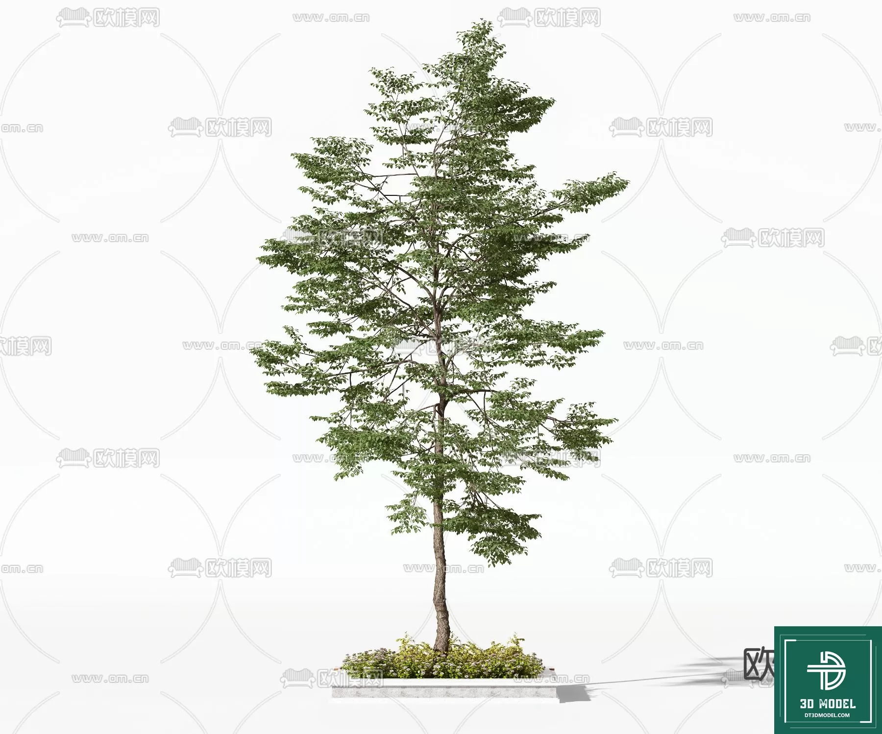 EXTERIOR – TREE – 3D MODELS – 128