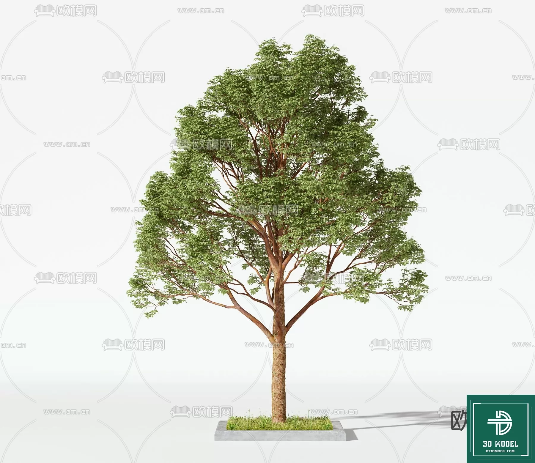 EXTERIOR – TREE – 3D MODELS – 129