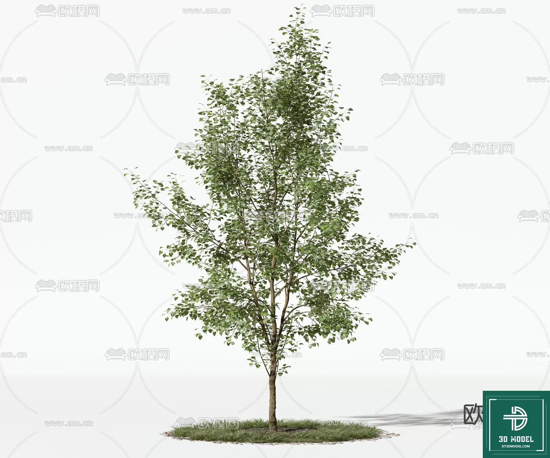 EXTERIOR – TREE – 3D MODELS – 130