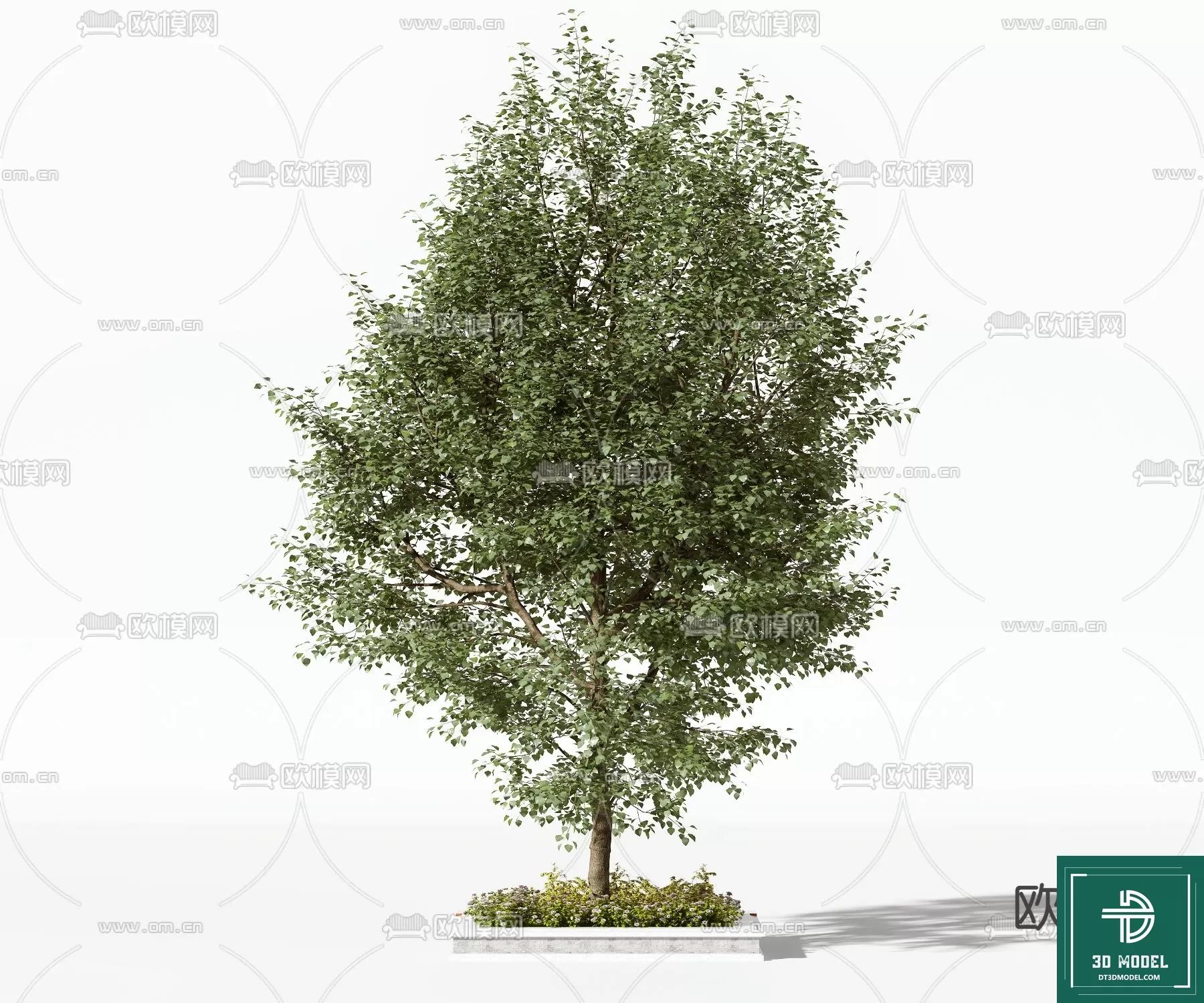 EXTERIOR – TREE – 3D MODELS – 131