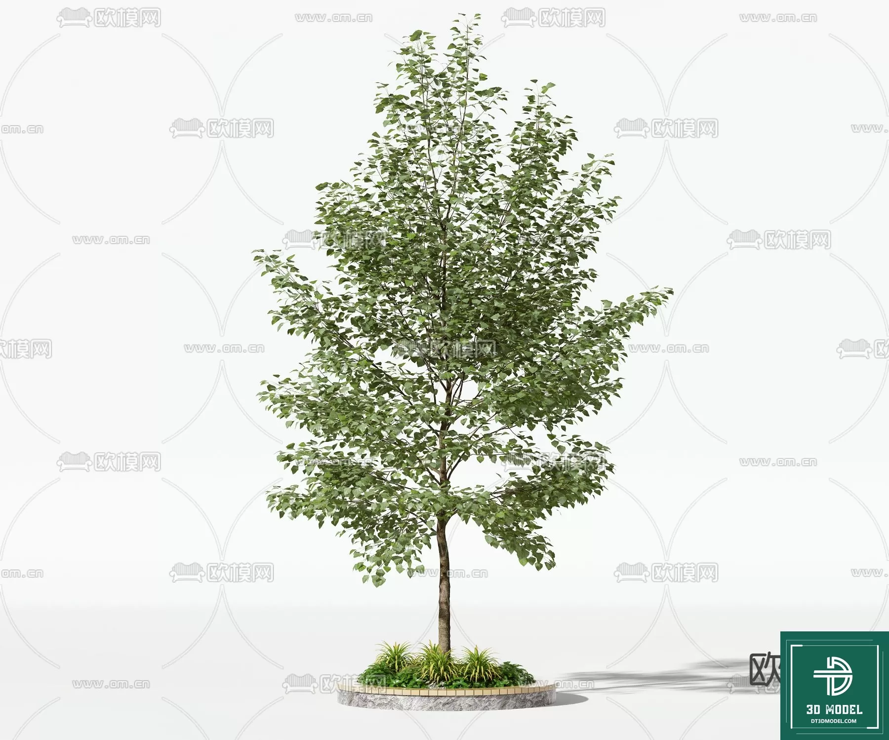 EXTERIOR – TREE – 3D MODELS – 132