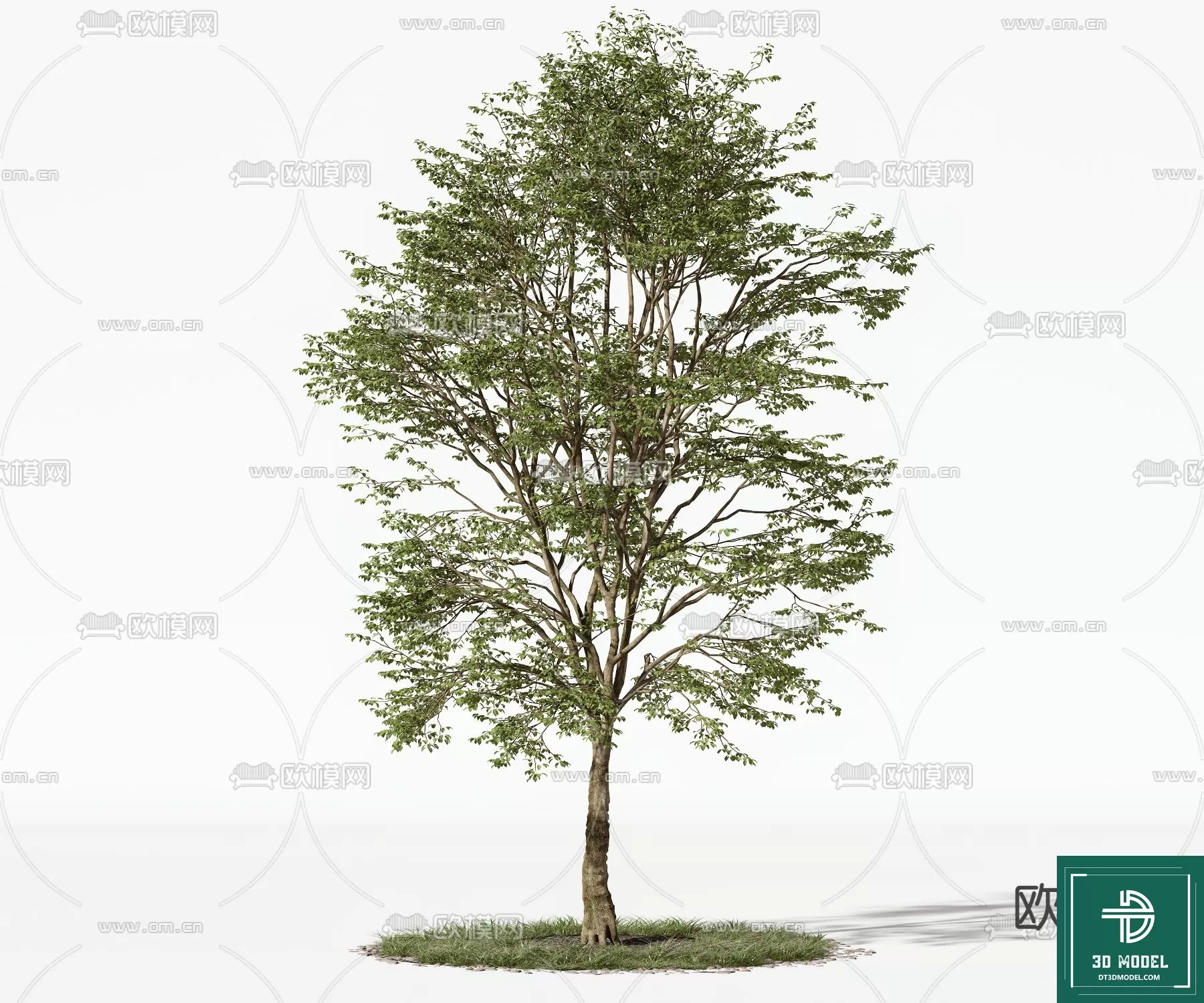 EXTERIOR – TREE – 3D MODELS – 133