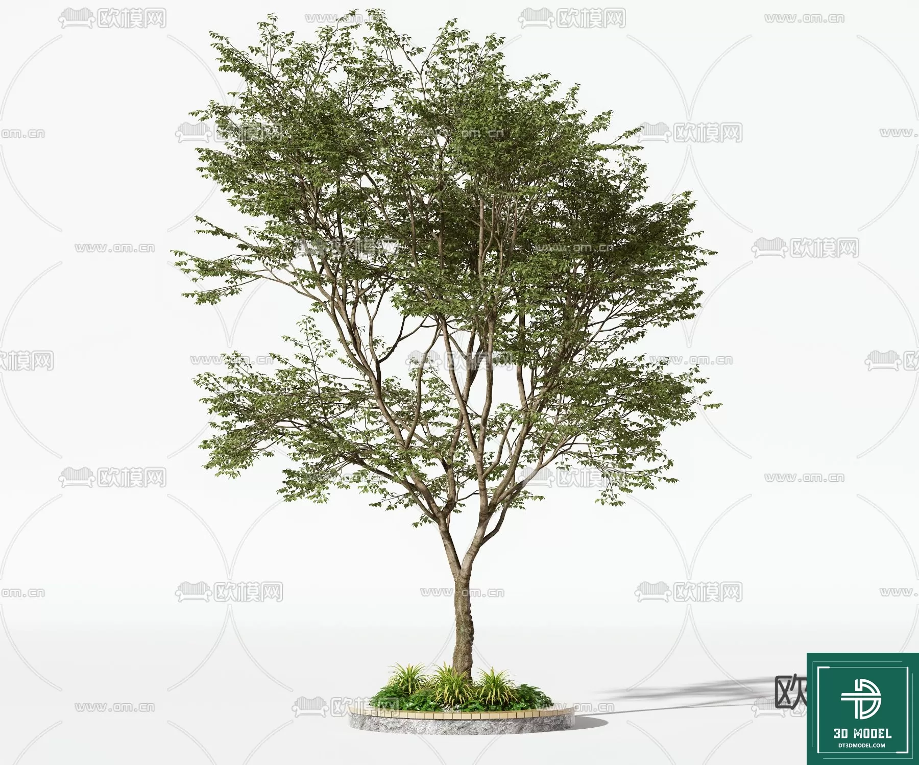 EXTERIOR – TREE – 3D MODELS – 134