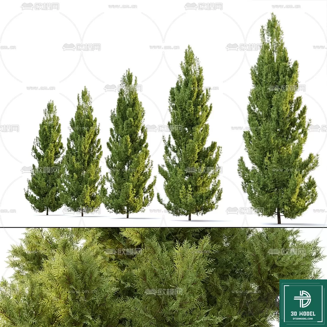 EXTERIOR – TREE – 3D MODELS – 136
