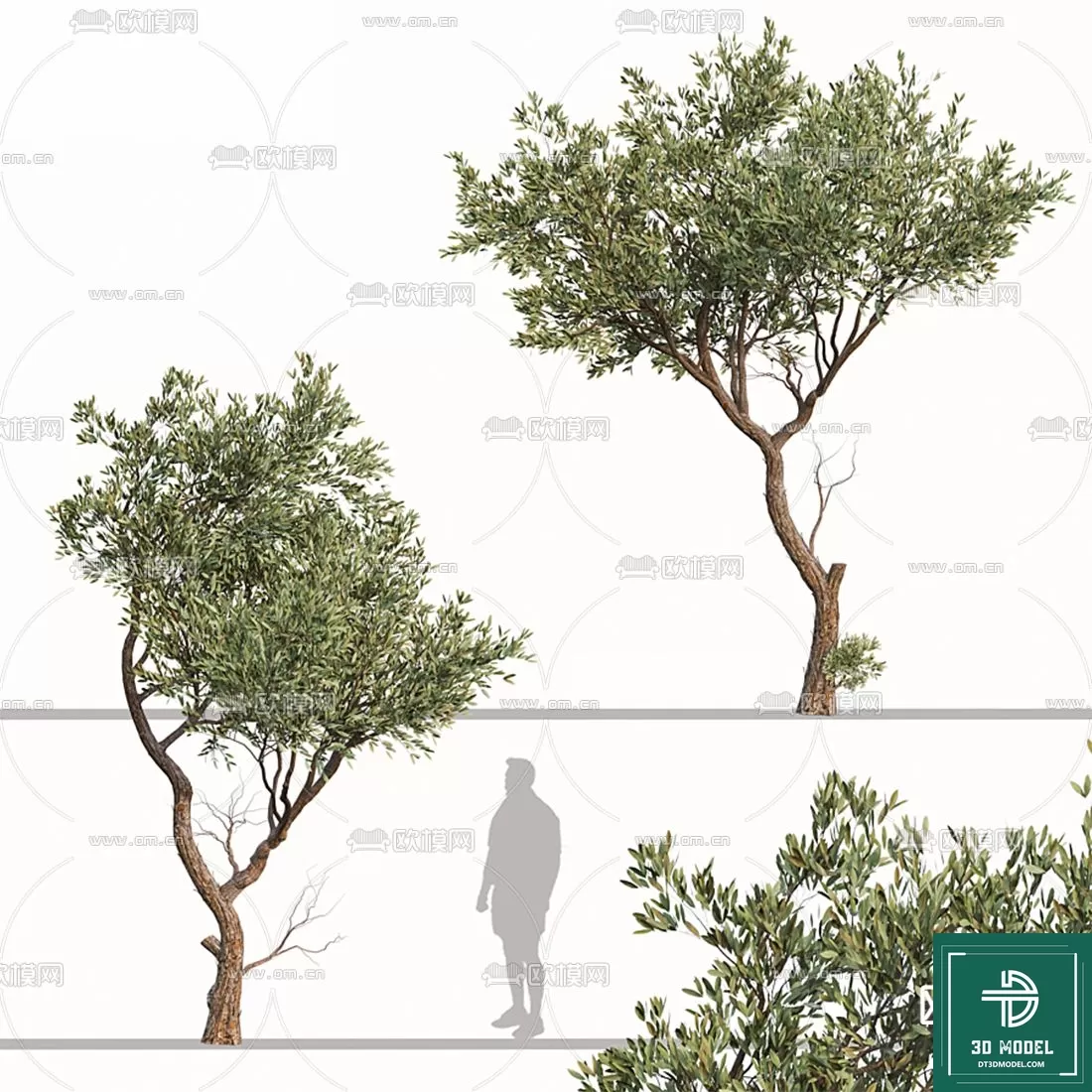 EXTERIOR – TREE – 3D MODELS – 139
