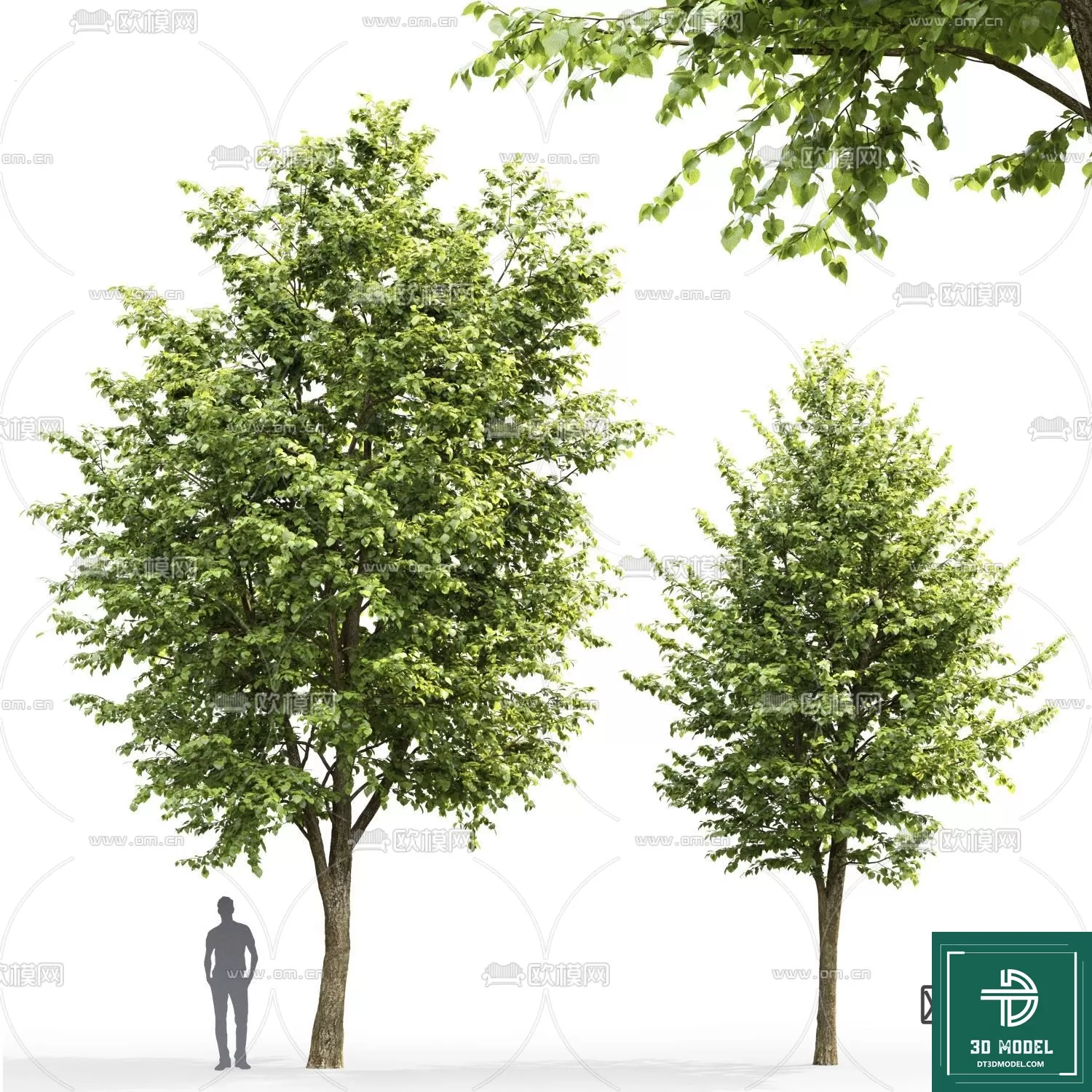 EXTERIOR – TREE – 3D MODELS – 141