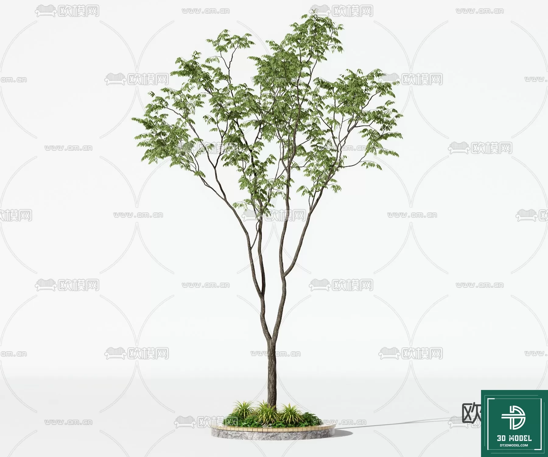 EXTERIOR – TREE – 3D MODELS – 145