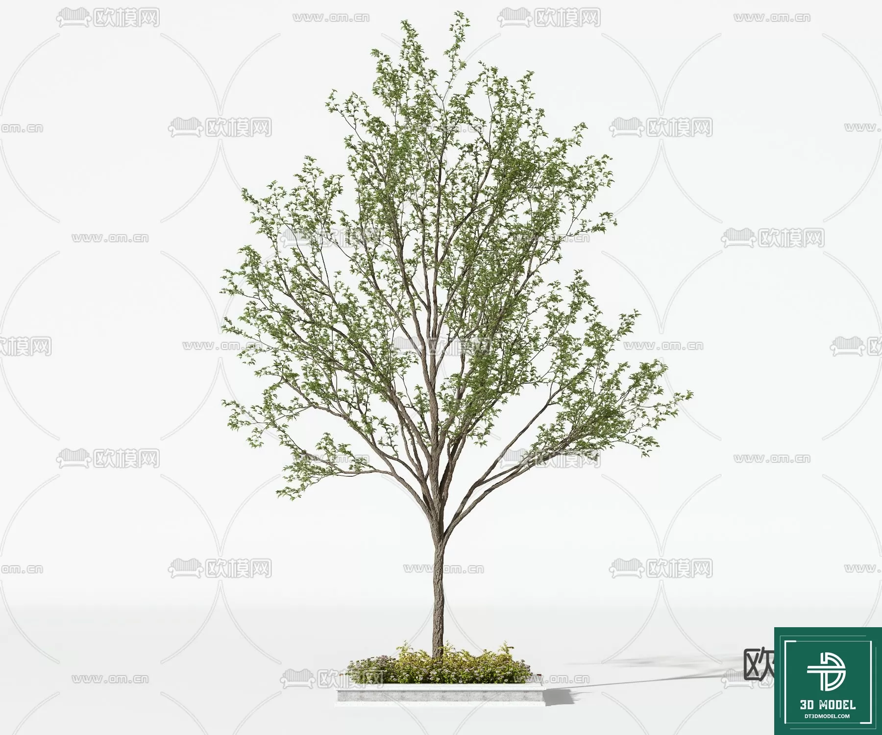 EXTERIOR – TREE – 3D MODELS – 146