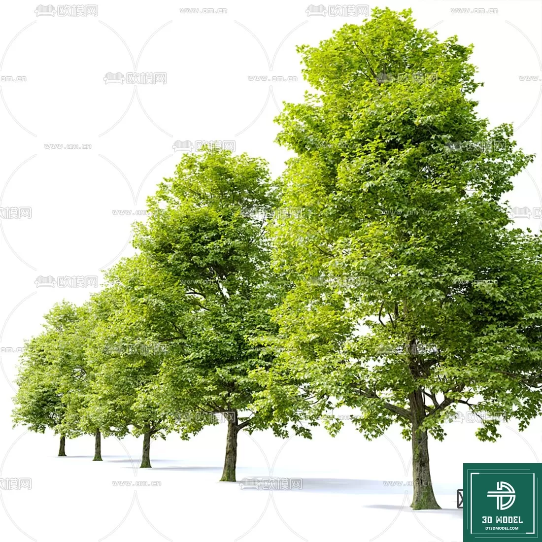 EXTERIOR – TREE – 3D MODELS – 149