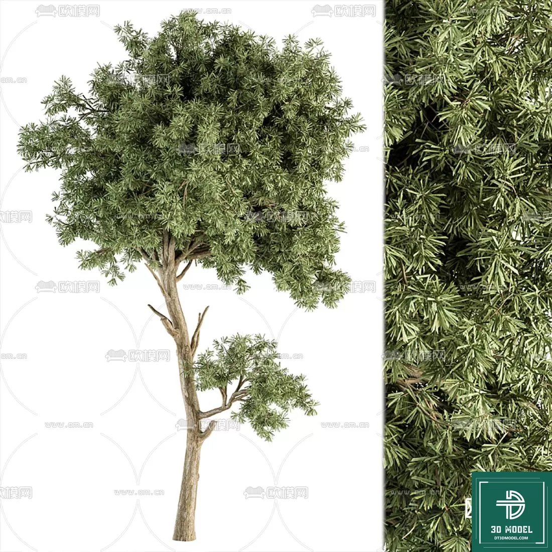EXTERIOR – TREE – 3D MODELS – 150