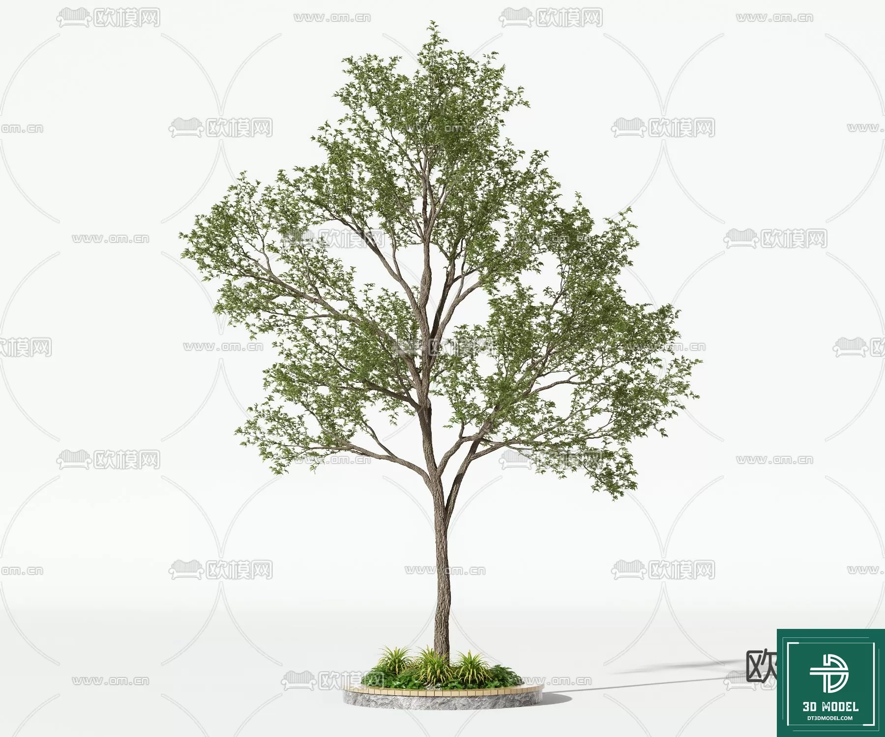 EXTERIOR – TREE – 3D MODELS – 151