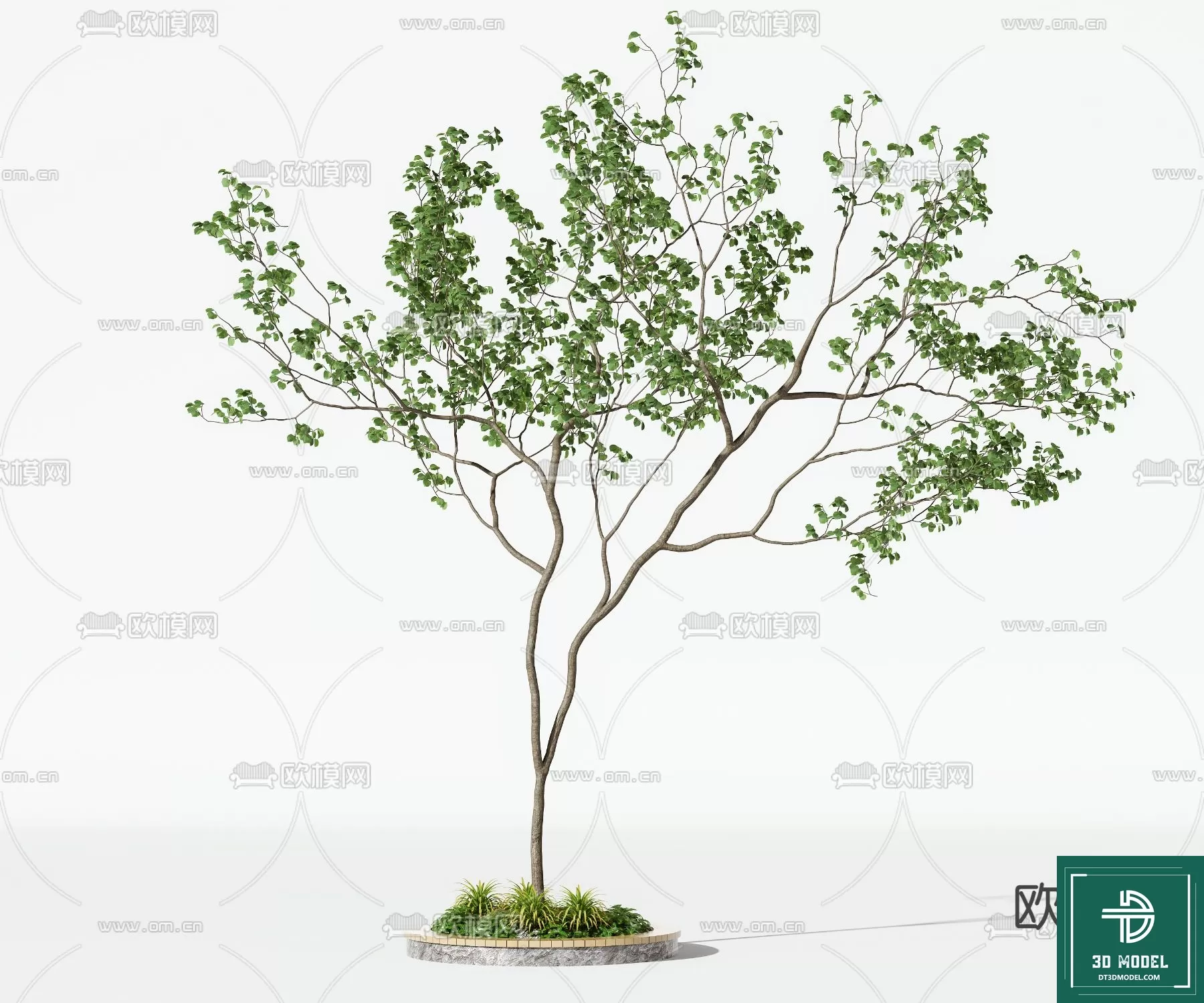 EXTERIOR – TREE – 3D MODELS – 152