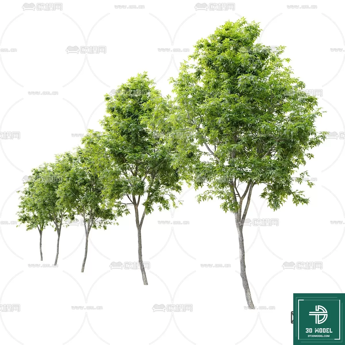 EXTERIOR – TREE – 3D MODELS – 157