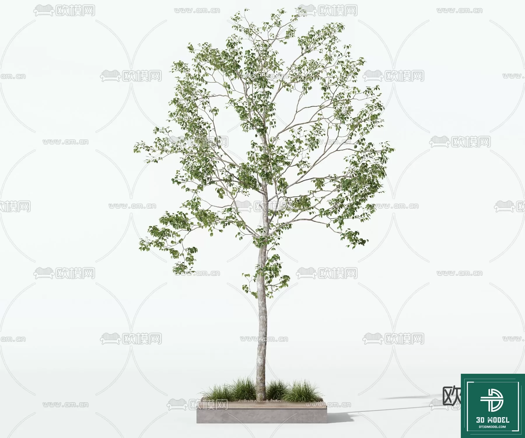 EXTERIOR – TREE – 3D MODELS – 164