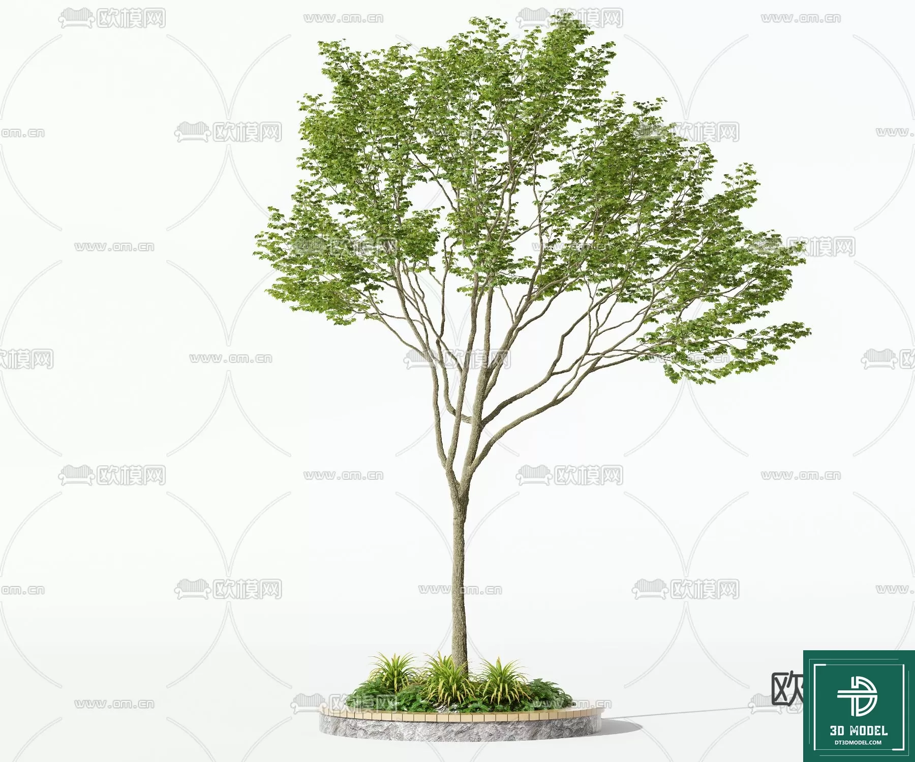 EXTERIOR – TREE – 3D MODELS – 165