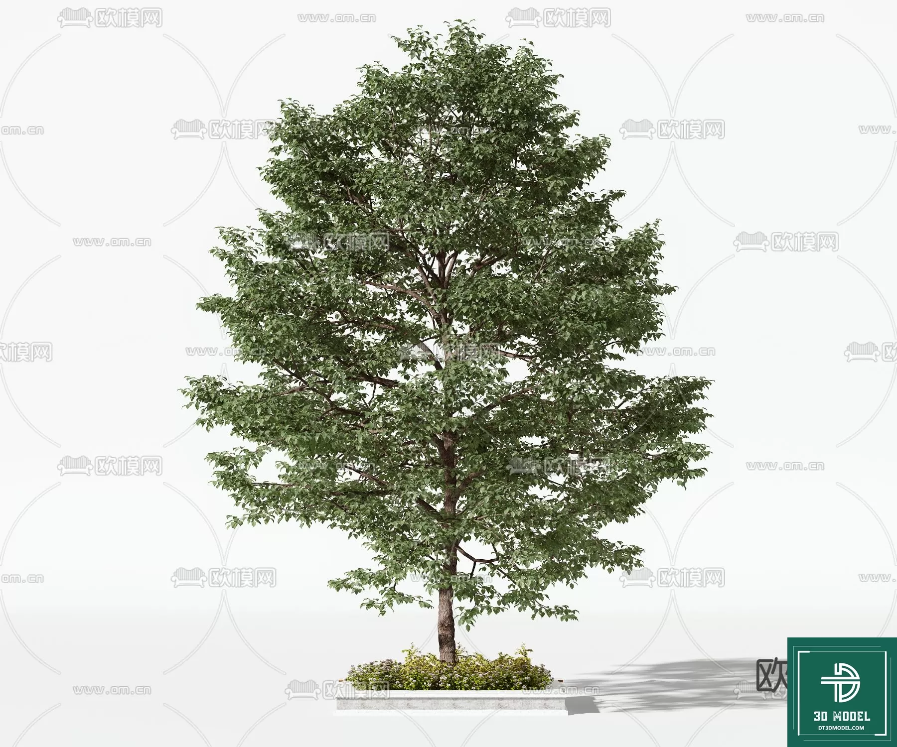 EXTERIOR – TREE – 3D MODELS – 172