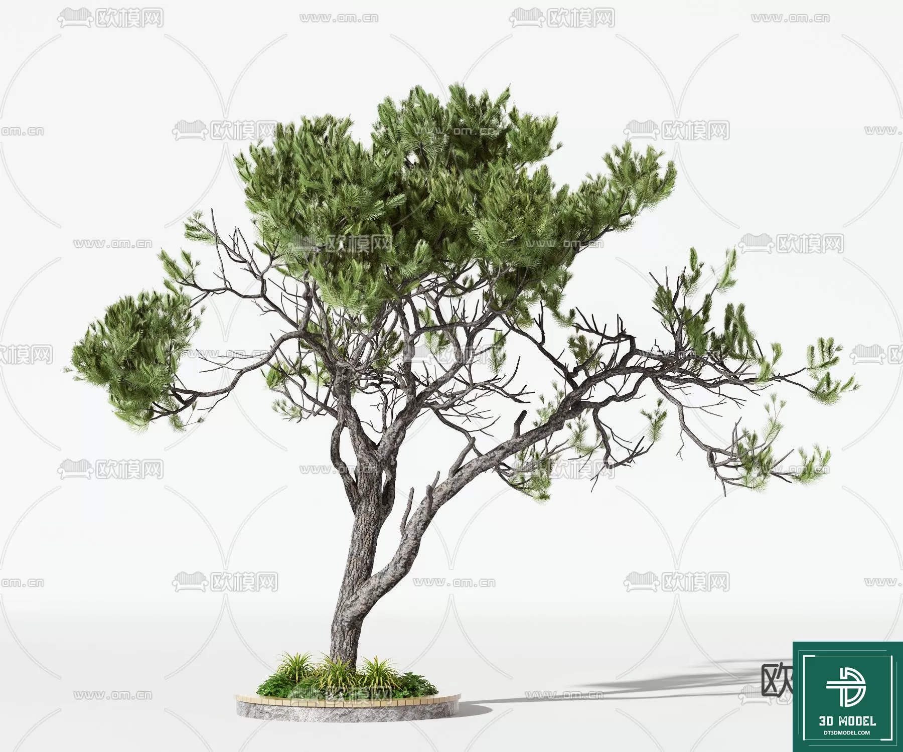 EXTERIOR – TREE – 3D MODELS – 173