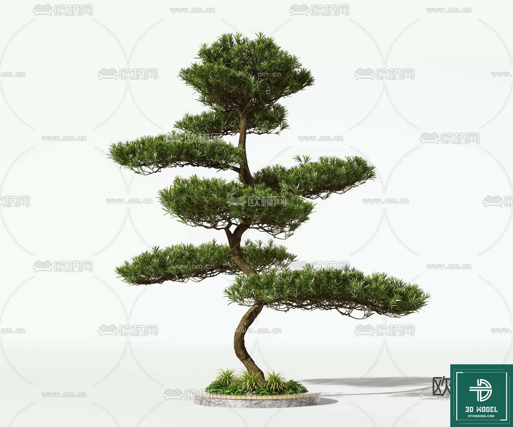 EXTERIOR – TREE – 3D MODELS – 174