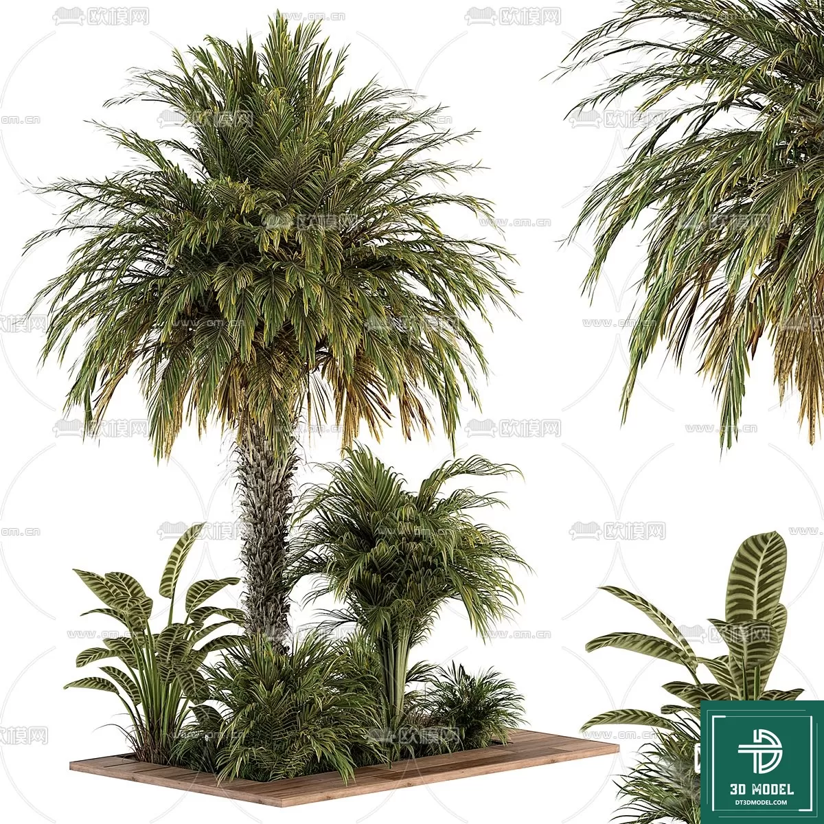 EXTERIOR – TREE – 3D MODELS – 177