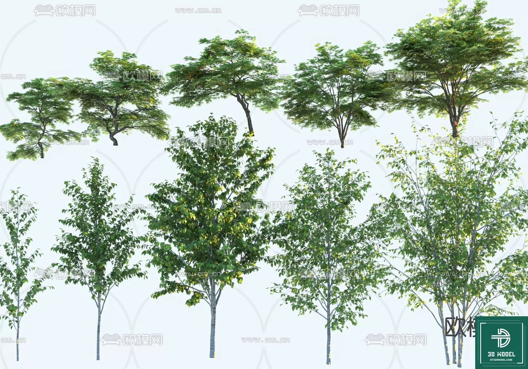 EXTERIOR – TREE – 3D MODELS – 185