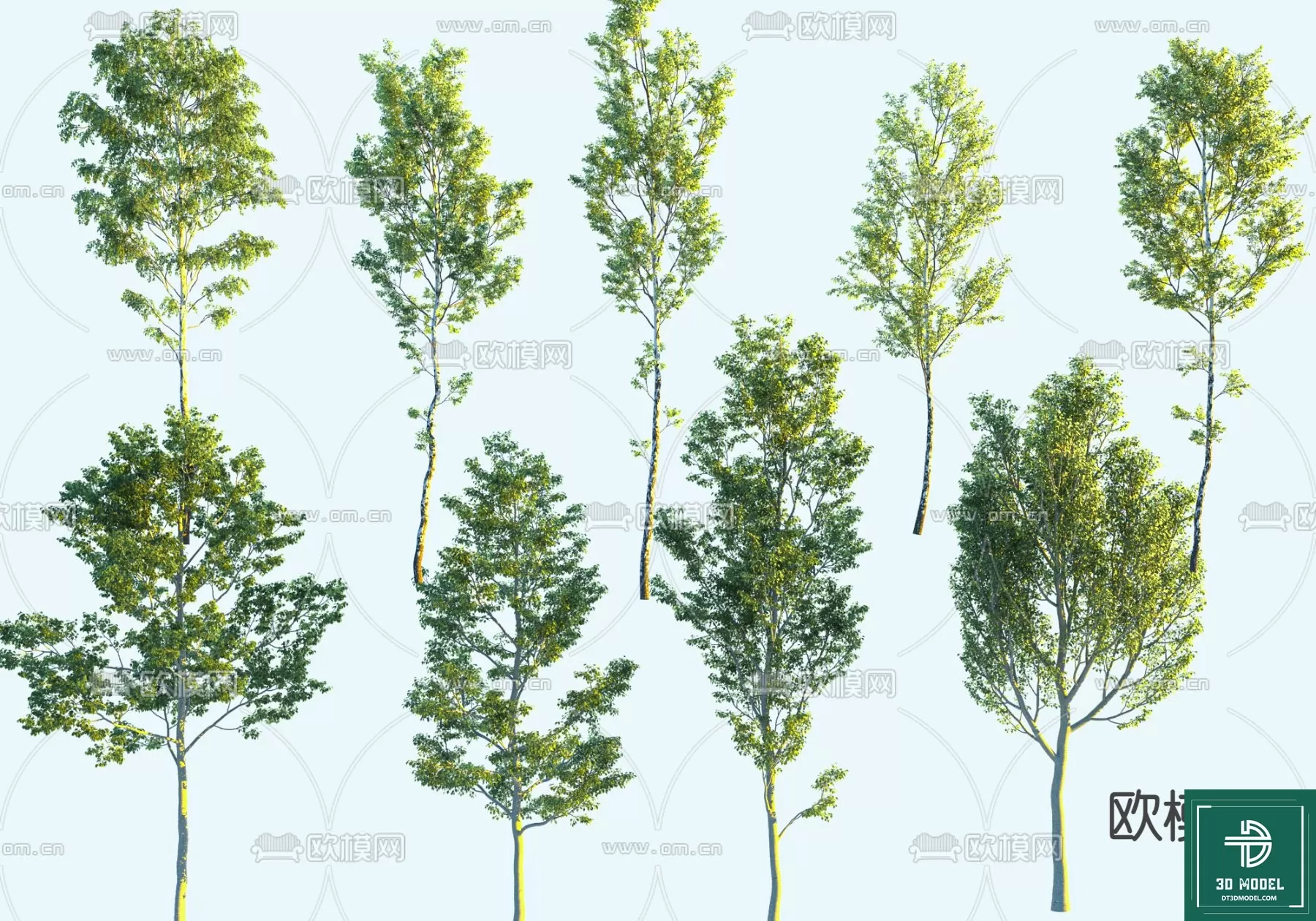 EXTERIOR – TREE – 3D MODELS – 186