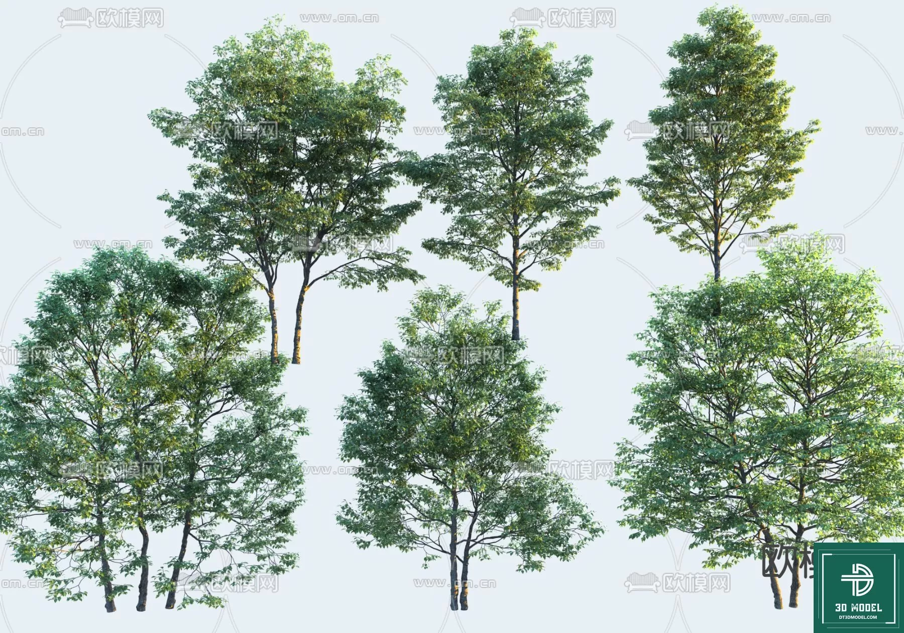 EXTERIOR – TREE – 3D MODELS – 187