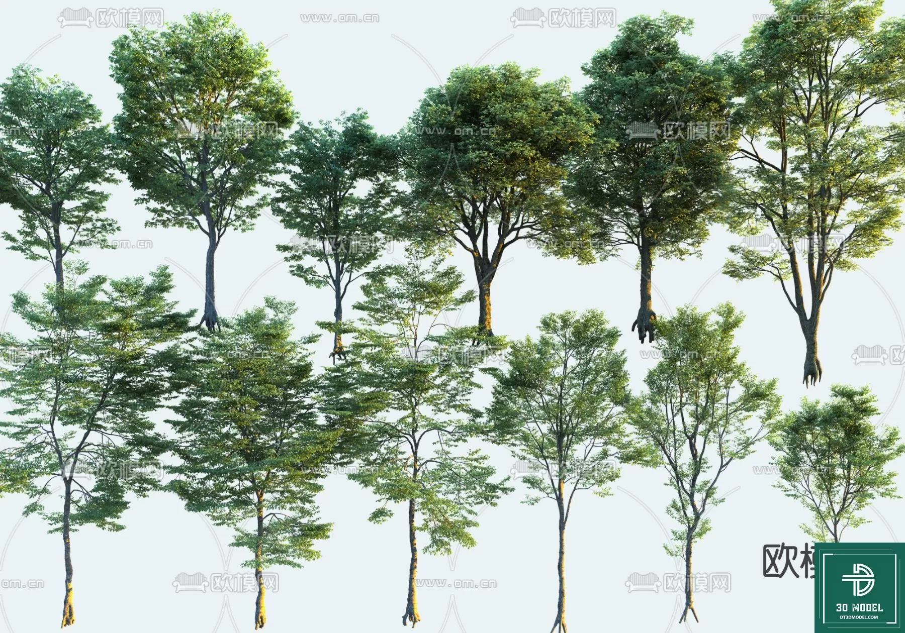 EXTERIOR – TREE – 3D MODELS – 188