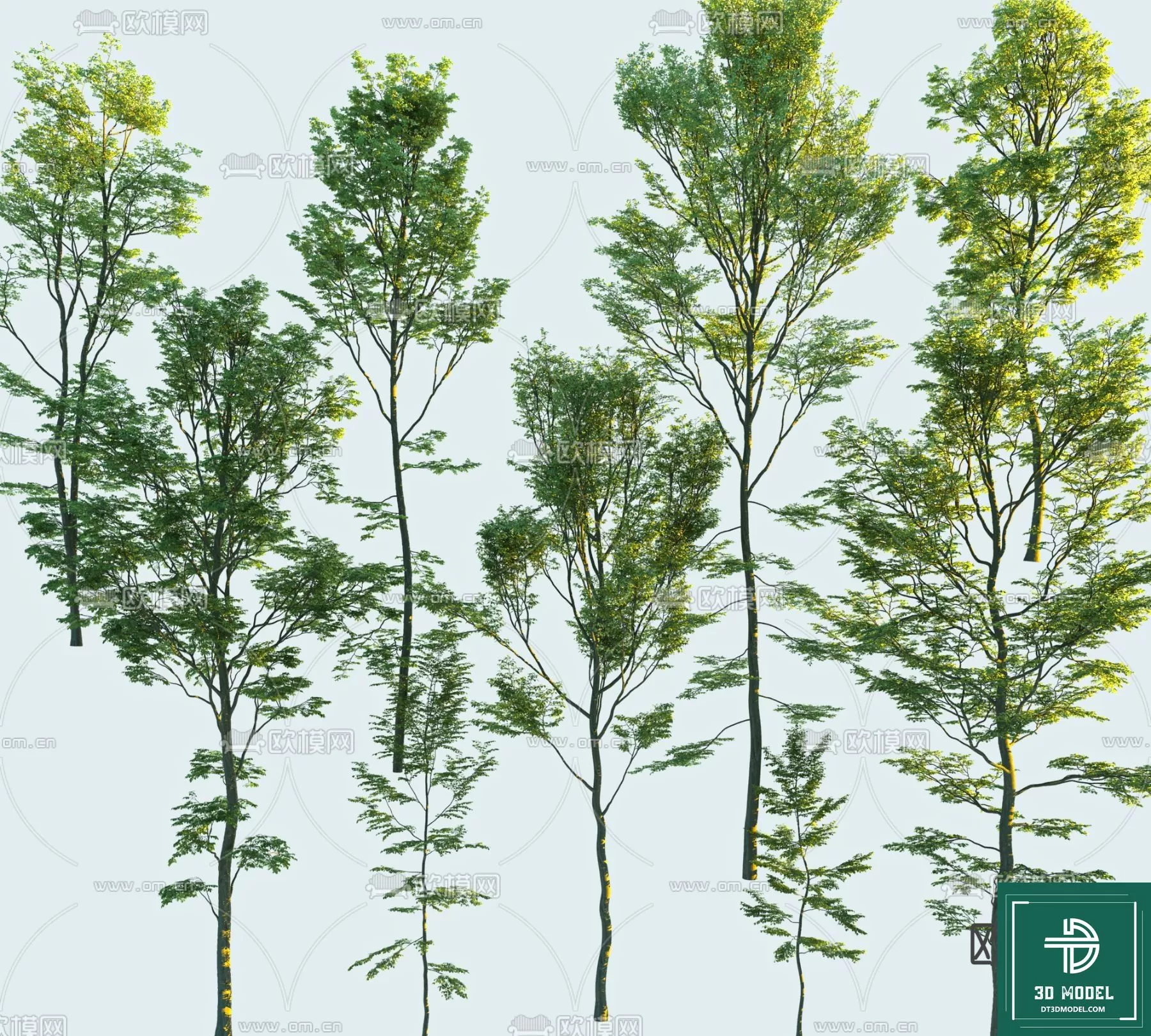 EXTERIOR – TREE – 3D MODELS – 189