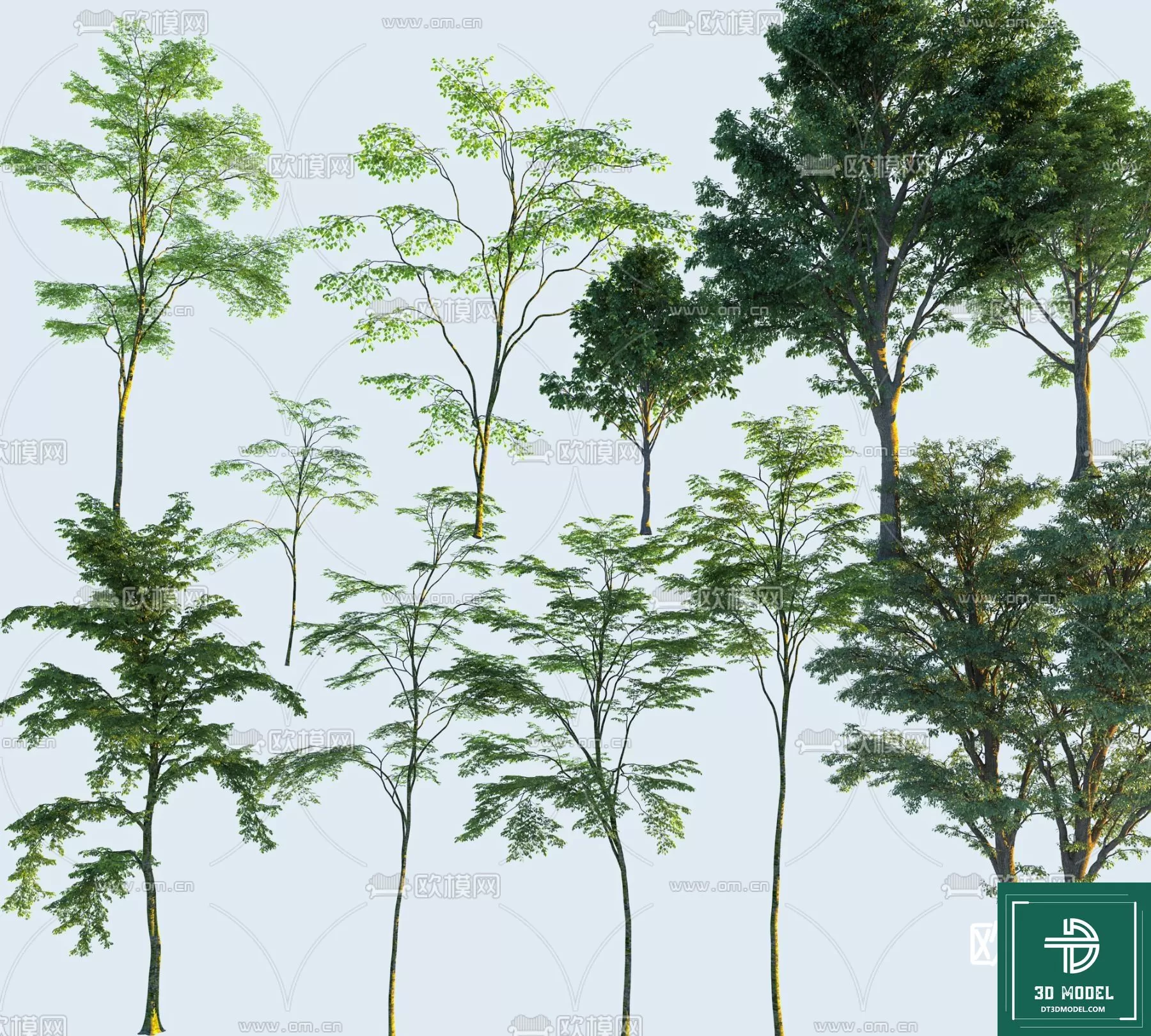 EXTERIOR – TREE – 3D MODELS – 190