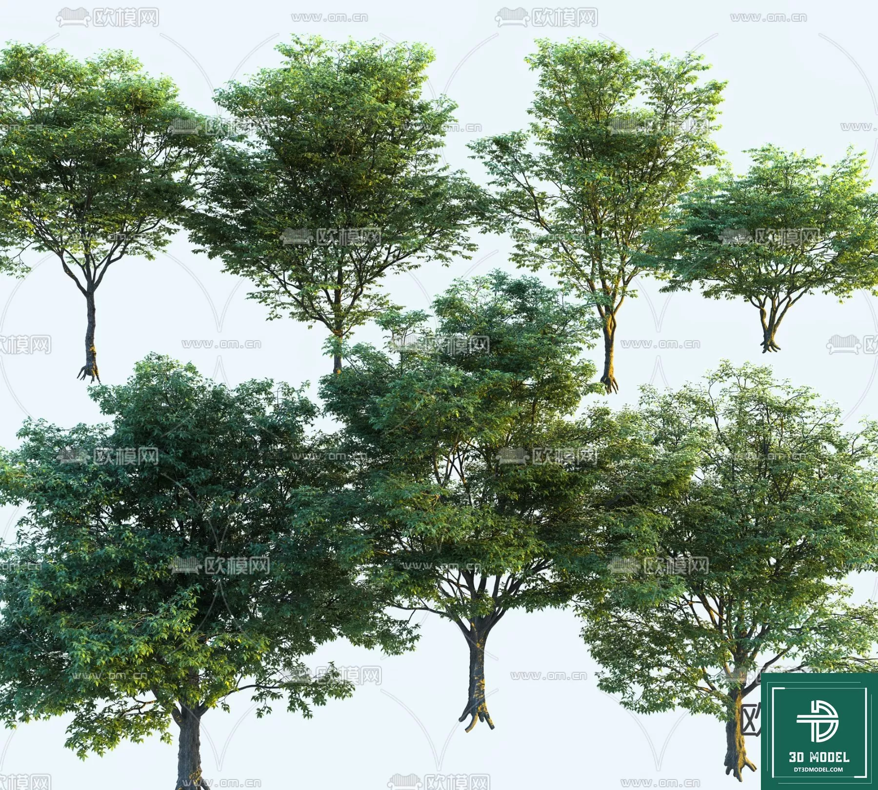 EXTERIOR – TREE – 3D MODELS – 192